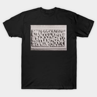 Texture - White Stone Wall T-Shirt